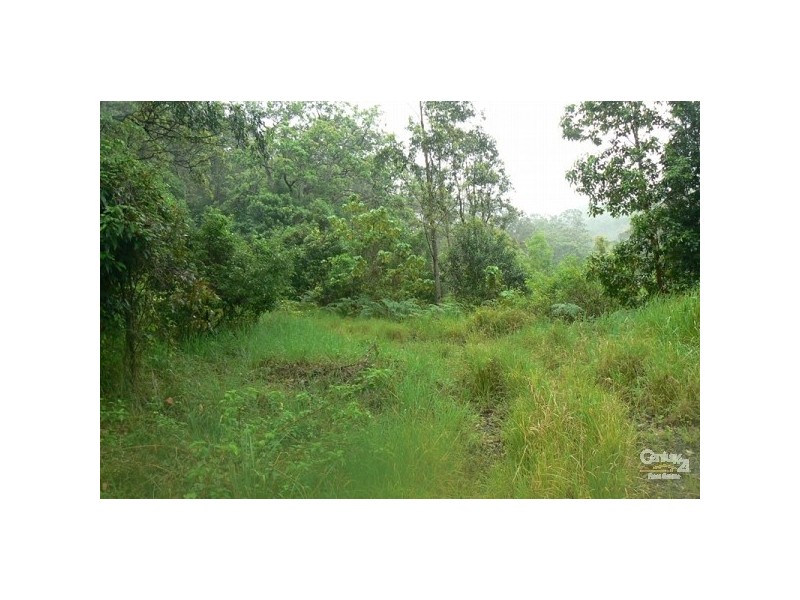 793 Boyle Road, Coffee Camp NSW 2480