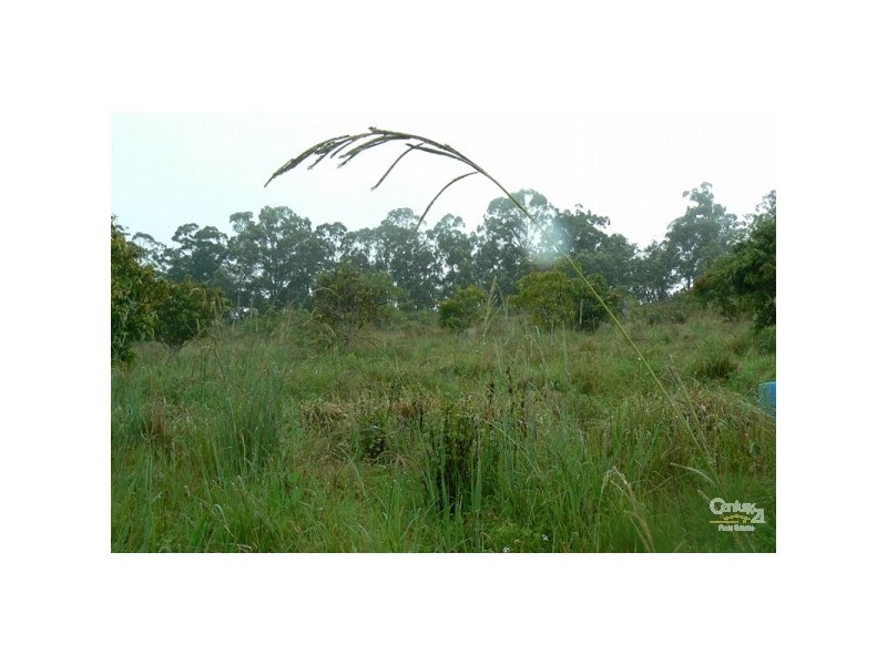 793 Boyle Road, Coffee Camp NSW 2480