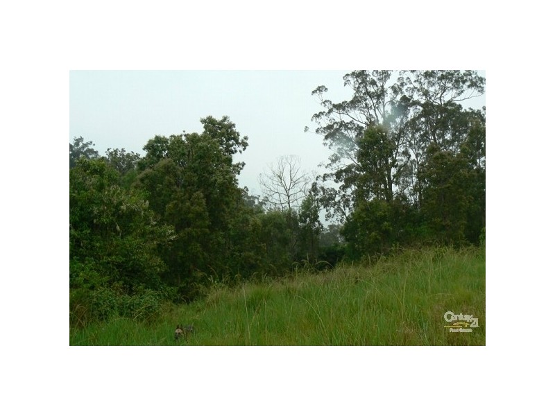 793 Boyle Road, Coffee Camp NSW 2480