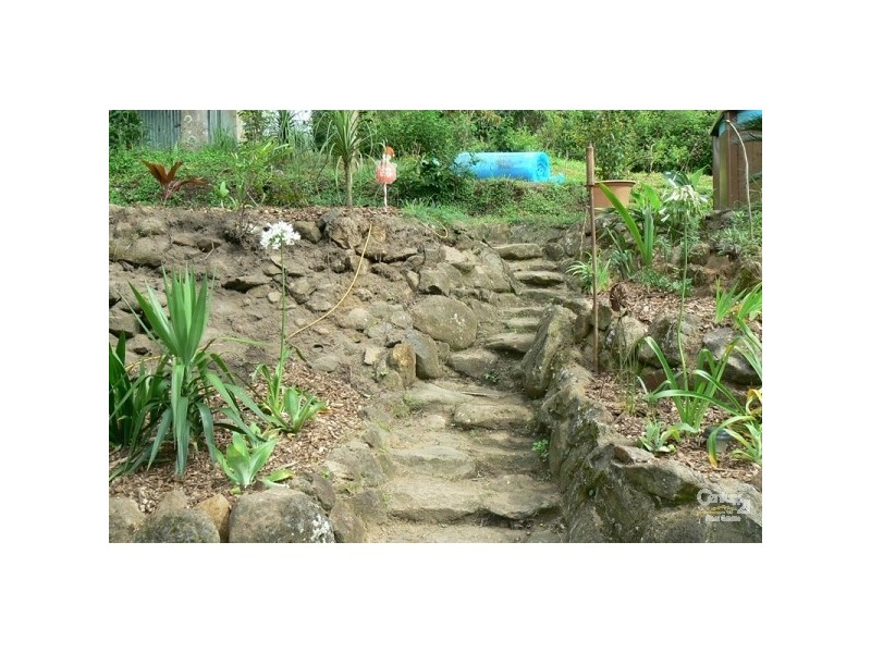 793 Boyle Road, Coffee Camp NSW 2480