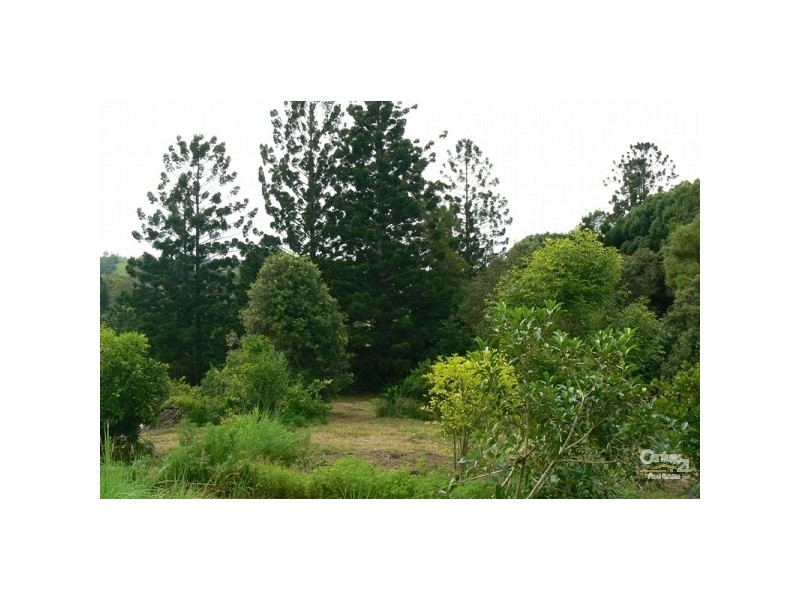 793 Boyle Road, Coffee Camp NSW 2480