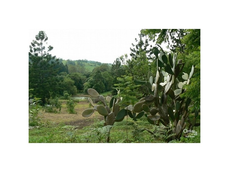 793 Boyle Road, Coffee Camp NSW 2480