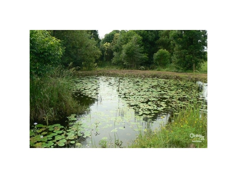 793 Boyle Road, Coffee Camp NSW 2480