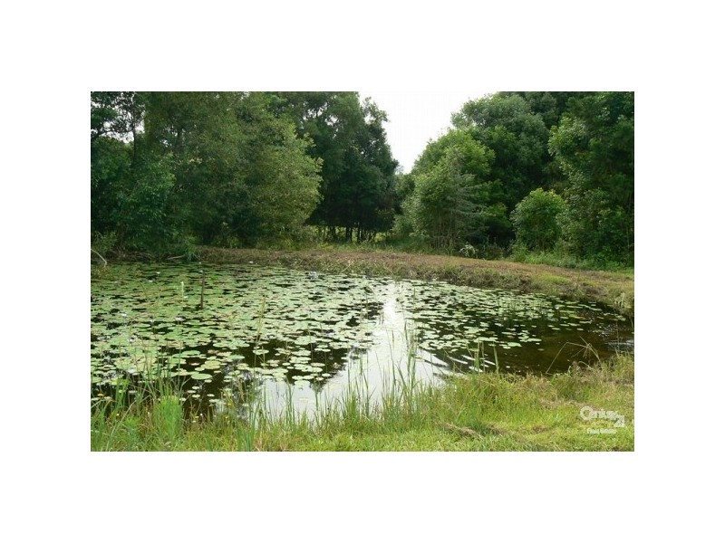 793 Boyle Road, Coffee Camp NSW 2480