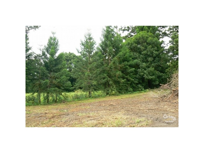 793 Boyle Road, Coffee Camp NSW 2480