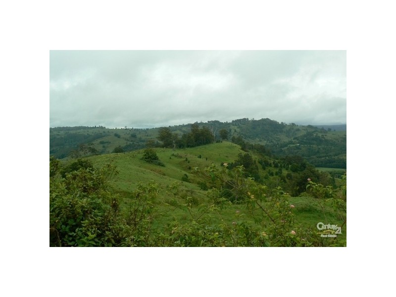 Lot 1 Wallace Road, The Channon NSW 2480