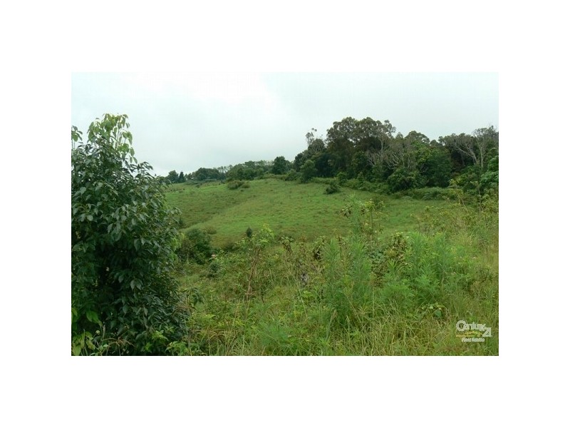 Lot 1 Wallace Road, The Channon NSW 2480