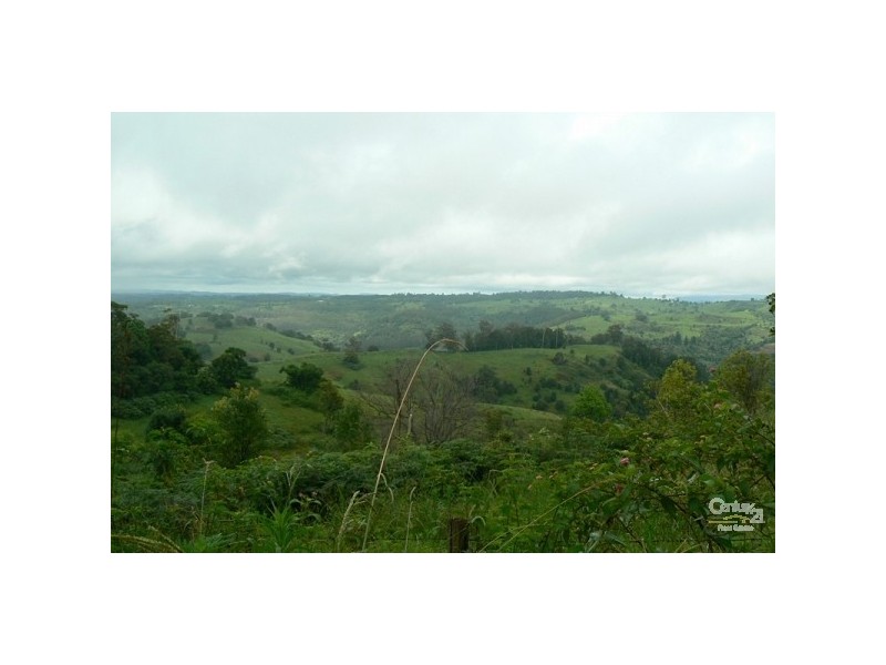 Lot 1 Wallace Road, The Channon NSW 2480