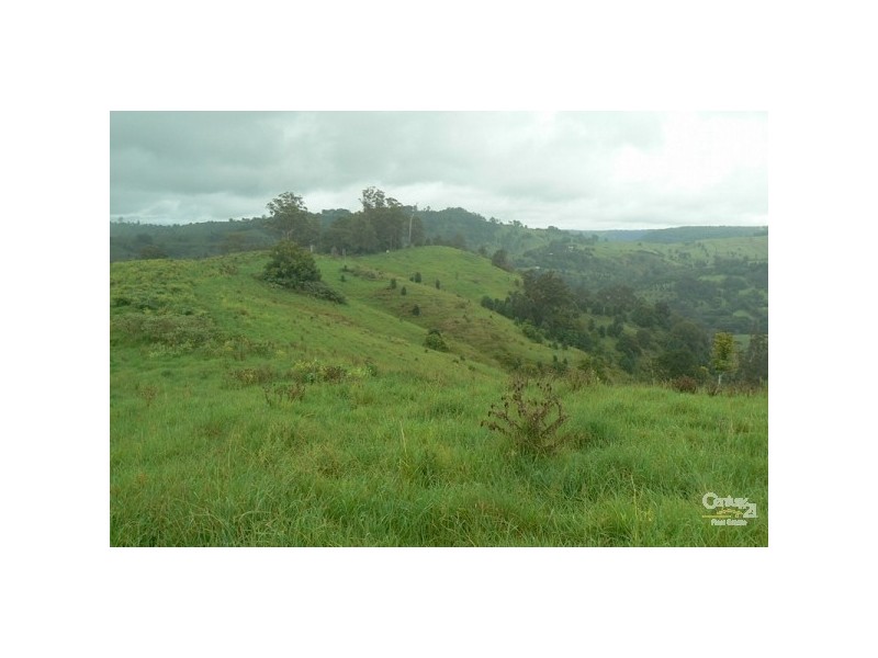 Lot 1 Wallace Road, The Channon NSW 2480