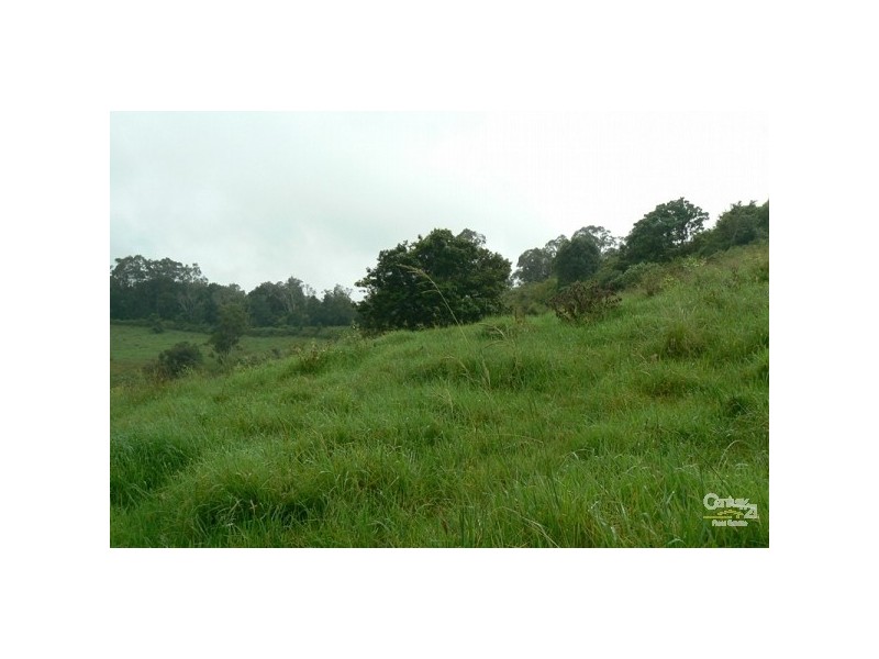Lot 1 Wallace Road, The Channon NSW 2480