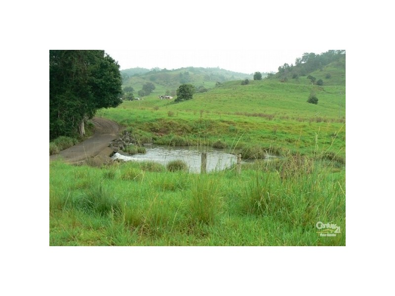 Lot 2 388 Tuntable Creek Road, The Channon NSW 2480