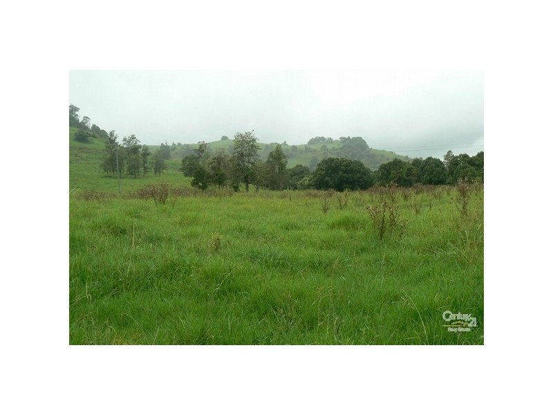 Lot 2 388 Tuntable Creek Road, The Channon NSW 2480