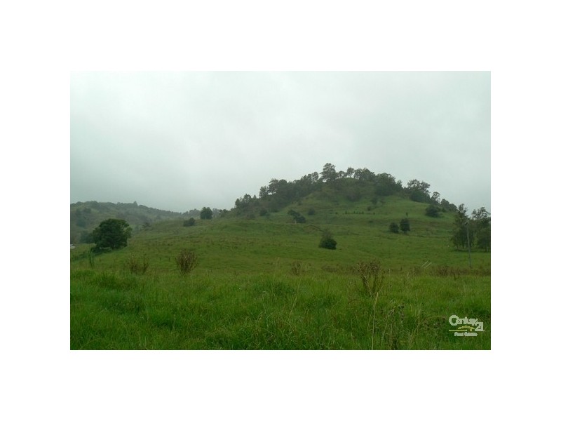 Lot 2 388 Tuntable Creek Road, The Channon NSW 2480