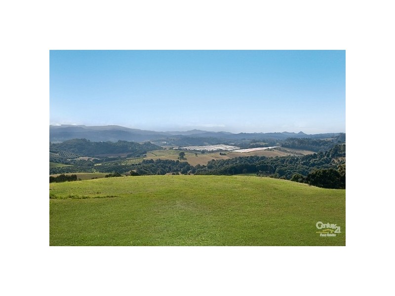 39 Nashua Road, Fernleigh NSW 2479