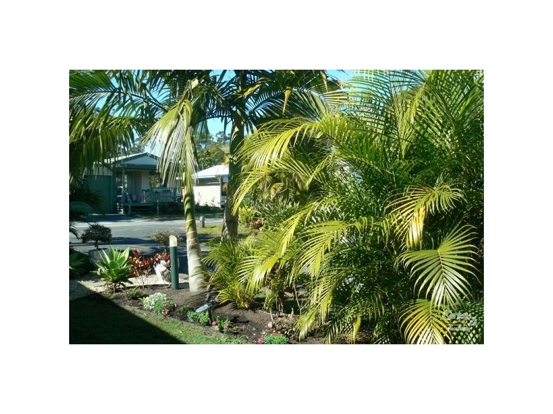 Site 12 / 978 Pimlico Road, Wardell NSW 2477