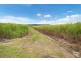 Lot 1 Owens Lane, Wardell NSW 2477