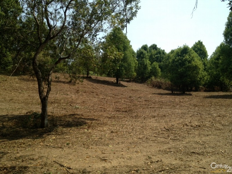 425 Tuntable Creek Road, Tuntable Creek NSW 2480