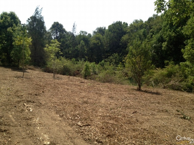 425 Tuntable Creek Road, Tuntable Creek NSW 2480