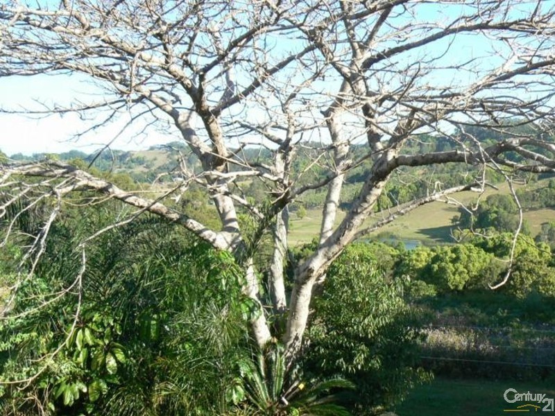 213 Duck Creek Mountain Road, Alstonville NSW 2477