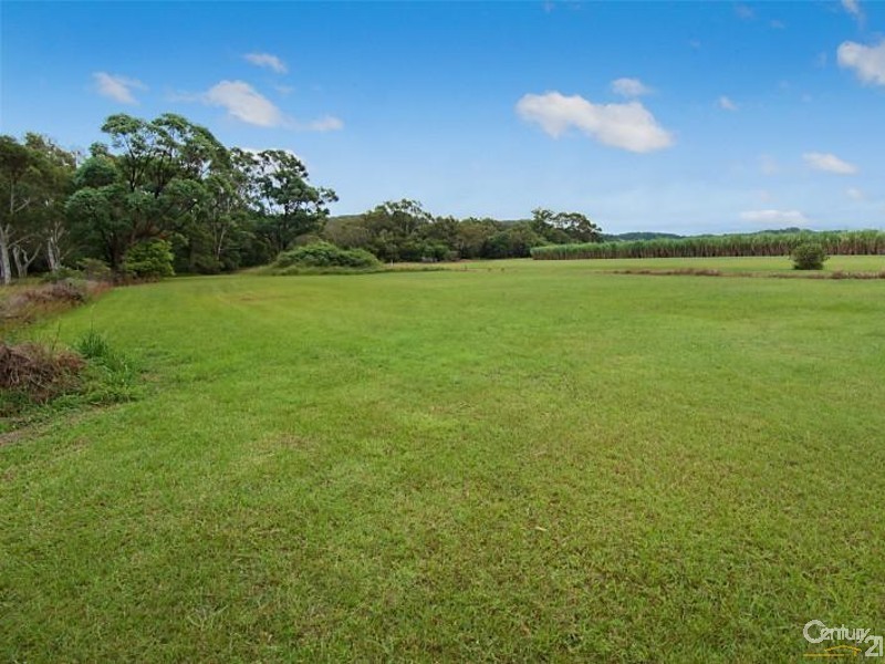 564 Pimlico Road, Pimlico NSW 2478