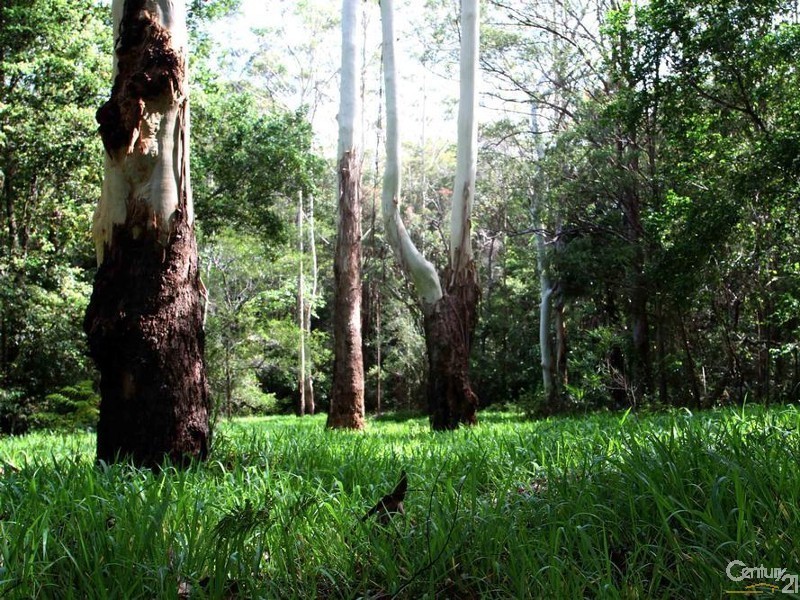 575 Bagotville Road, Meerschaum Vale NSW 2477