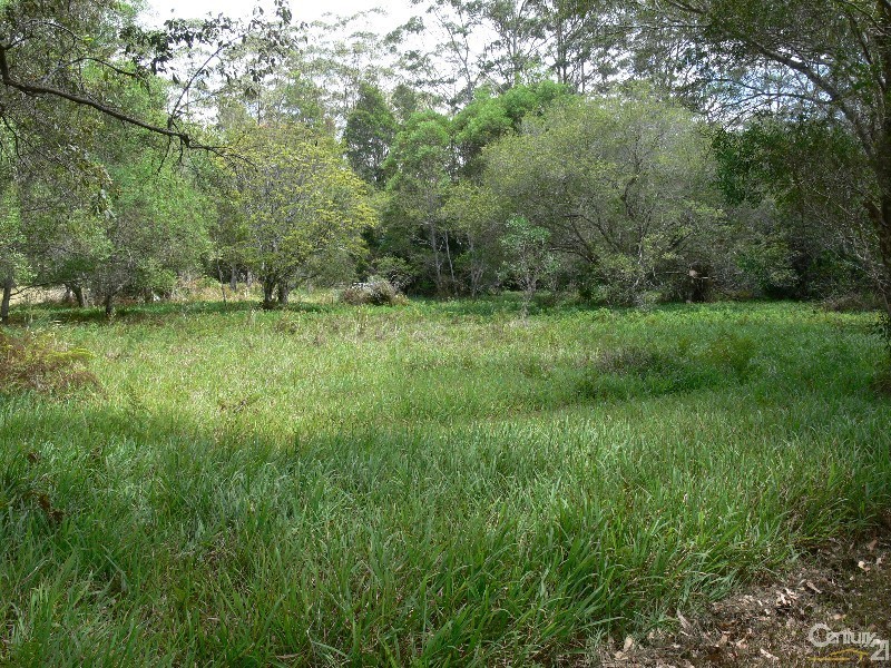 575 Bagotville Road, Meerschaum Vale NSW 2477