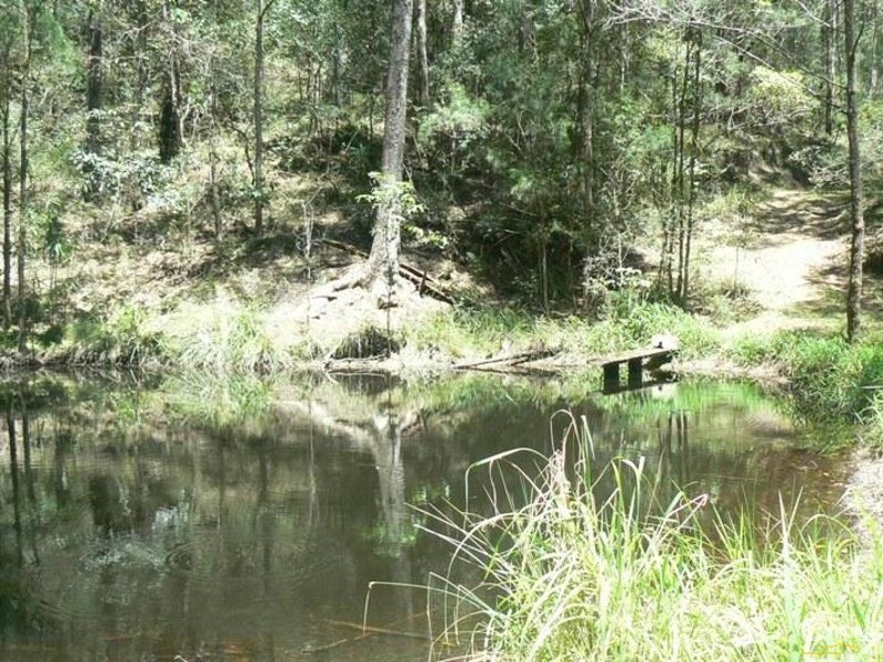 575 Bagotville Road, Meerschaum Vale NSW 2477