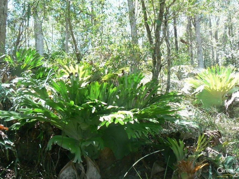 575 Bagotville Road, Meerschaum Vale NSW 2477