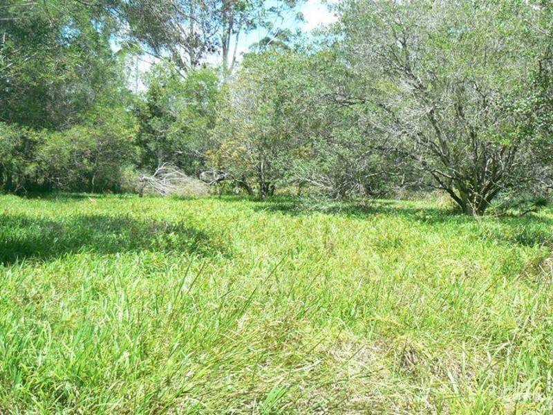 575 Bagotville Road, Meerschaum Vale NSW 2477