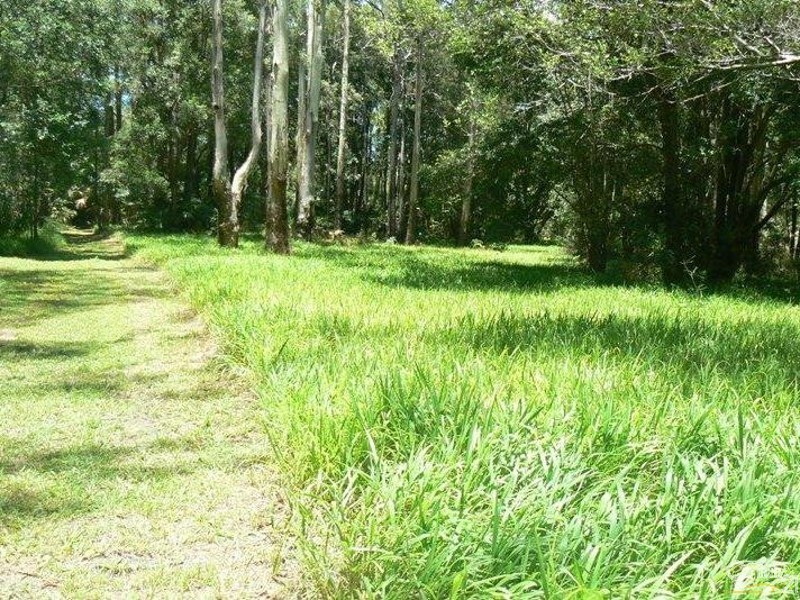 575 Bagotville Road, Meerschaum Vale NSW 2477