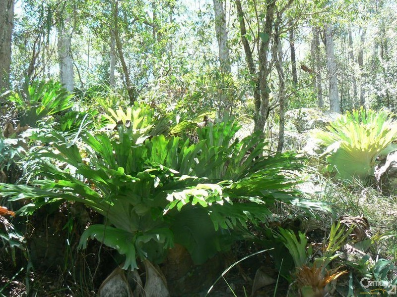 575 Bagotville Road, Meerschaum Vale NSW 2477