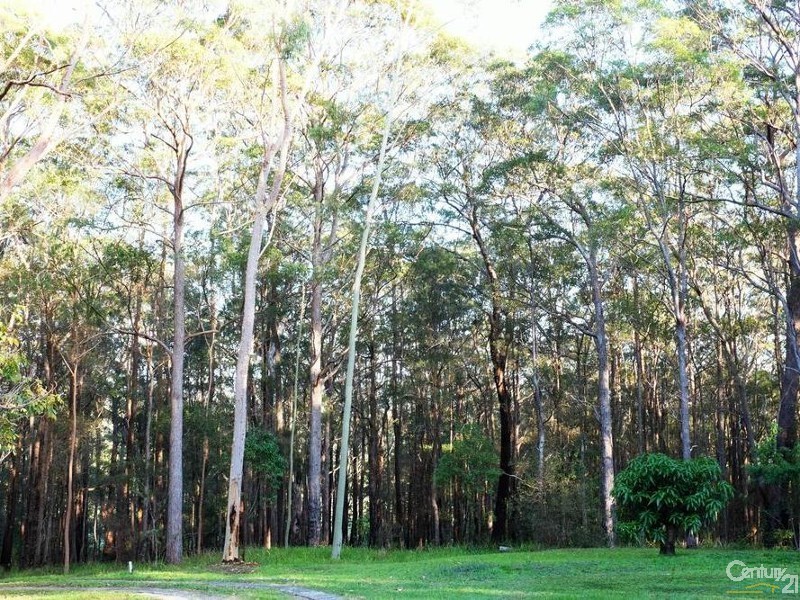 575 Bagotville Road, Meerschaum Vale NSW 2477