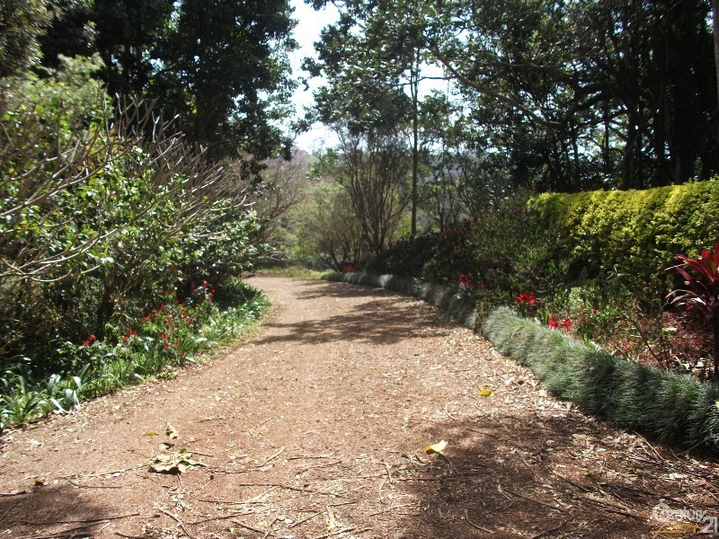 313 Marom Creek Rd, Meerschaum Vale NSW 2477
