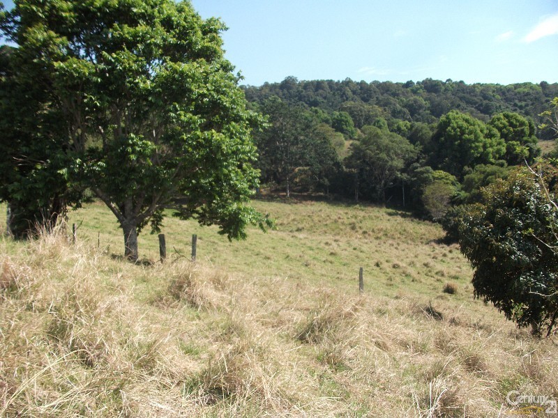 313 Marom Creek Rd, Meerschaum Vale NSW 2477