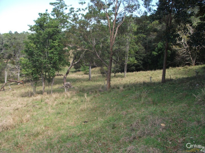 313 Marom Creek Rd, Meerschaum Vale NSW 2477