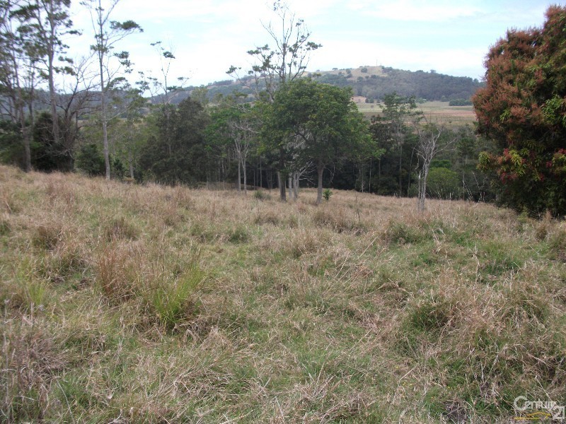 313 Marom Creek Rd, Meerschaum Vale NSW 2477