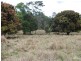 313 Marom Creek Rd, Meerschaum Vale NSW 2477