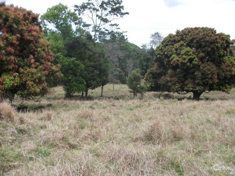 313 Marom Creek Rd, Meerschaum Vale NSW 2477