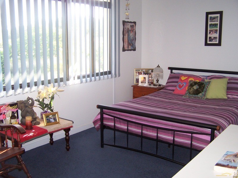 329 Pimlico Road, Pimlico NSW 2478