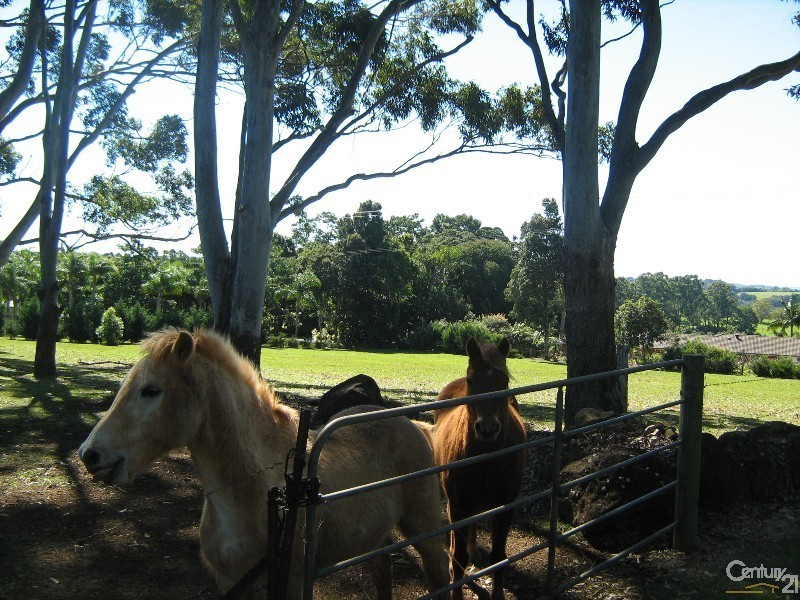 46 Fredericks Lane, Tintenbar NSW 2478