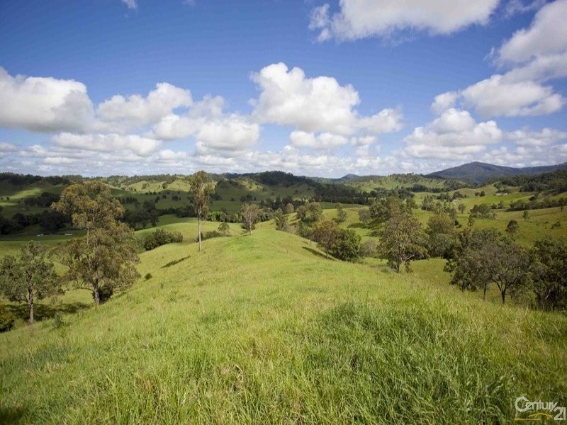 Lot 101 Back Creek Road, Bentley NSW 2480