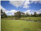 Lot 101 Back Creek Road, Bentley NSW 2480