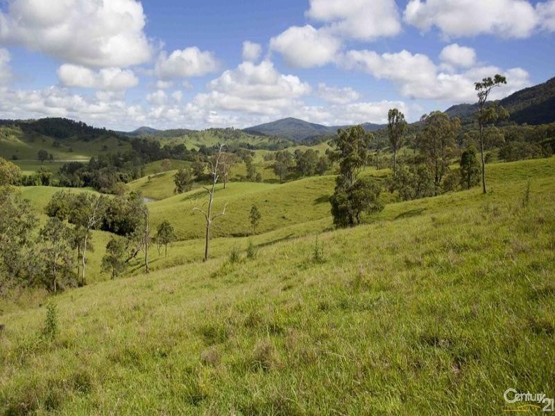 Lot 101 Back Creek Road, Bentley NSW 2480