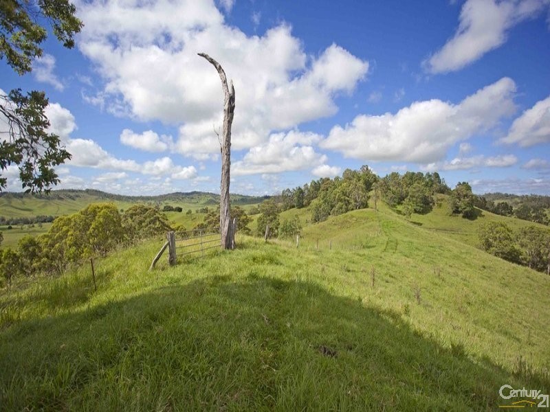 Lot 101 Back Creek Road, Bentley NSW 2480