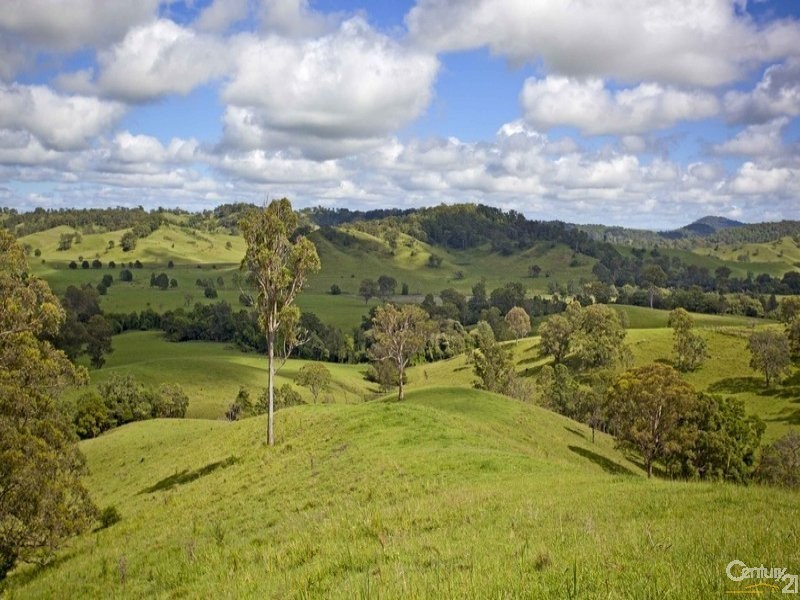 Lot 101 Back Creek Road, Bentley NSW 2480
