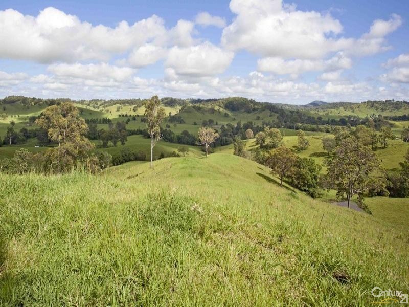 Lot 101 Back Creek Road, Bentley NSW 2480