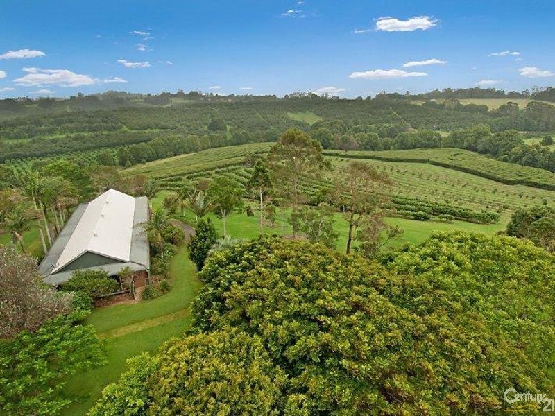 617 Hinterland Way, Newrybar NSW 2479