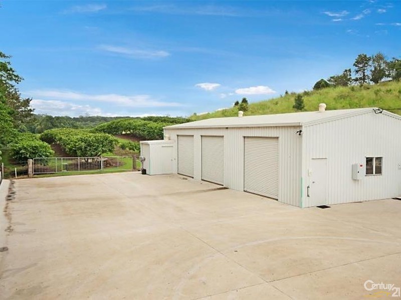 617 Hinterland Way, Newrybar NSW 2479