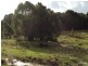 179 Henson Road, Wyrallah NSW 2480
