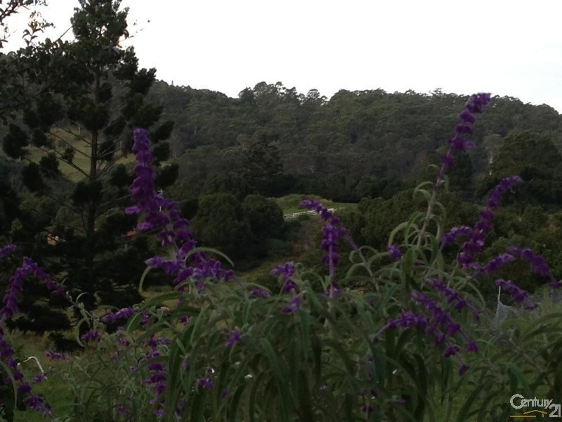 179 Henson Road, Wyrallah NSW 2480